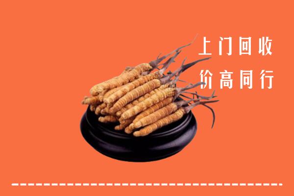 高价求购：乌兰浩特市回收散虫草