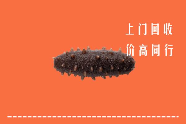 高价求购：乌兰浩特市回收海参