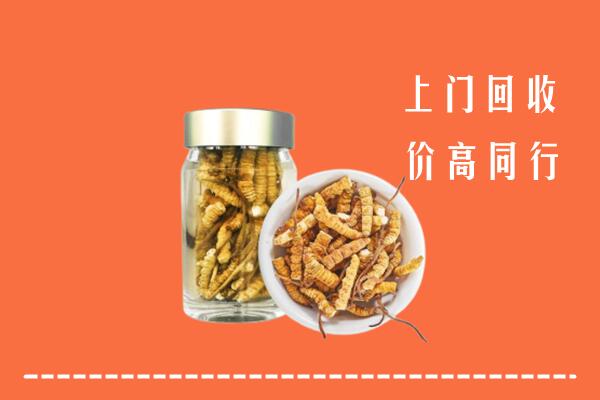 乌兰浩特市回收冬虫夏草