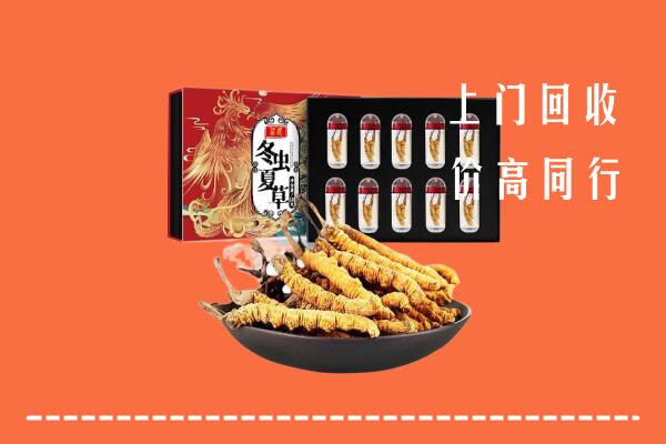 乌兰浩特市回收虫草